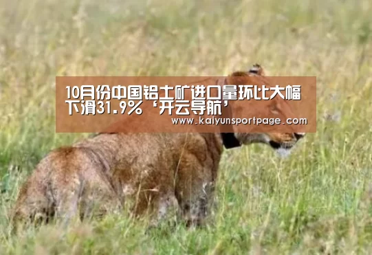 10月份中国铝土矿进口量环比大幅下滑31.9%‘开云导航’(图1) 开云官网