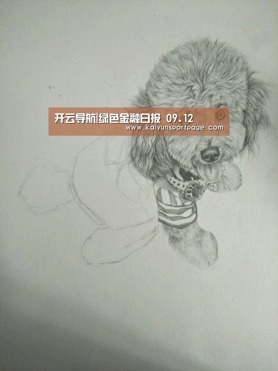 开云导航|绿色金融日报 09.12(图2) 开云体验