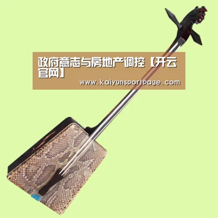 政府意志与房地产调控【开云官网】(图3) 开云体验