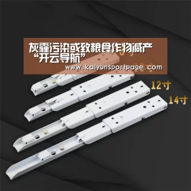灰霾污染或致粮食作物减产“开云导航”(图1) 开云导航