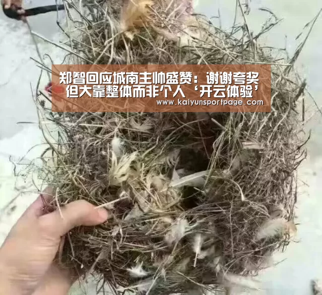 郑智回应城南主帅盛赞:谢谢夸奖 但大靠整体而非个人‘开云体验’(图1) 开云导航