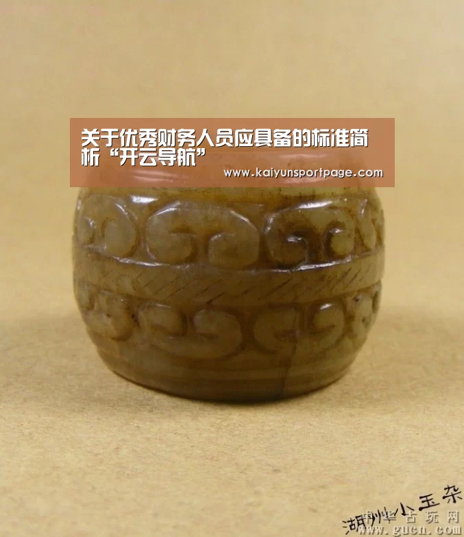 关于优秀财务人员应具备的标准简析“开云导航”(图1) 开云官方