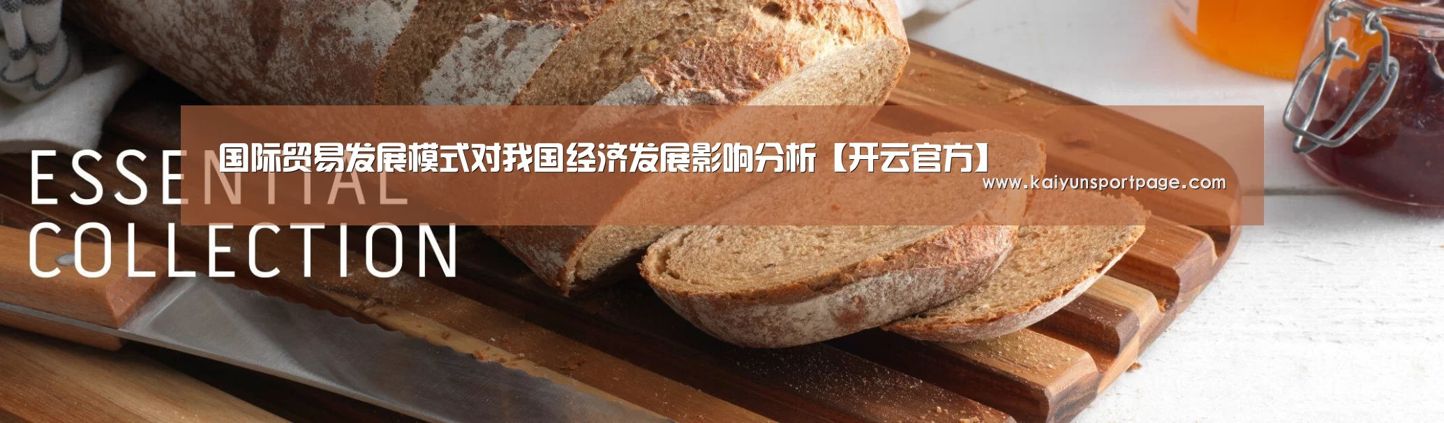 国际贸易发展模式对我国经济发展影响分析【开云官方】(图1) 开云官网