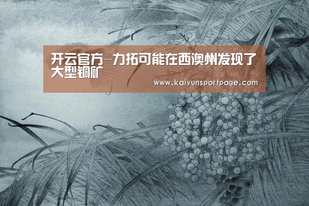 开云官方-力拓可能在西澳州发现了大型铜矿(图1) 开云体验