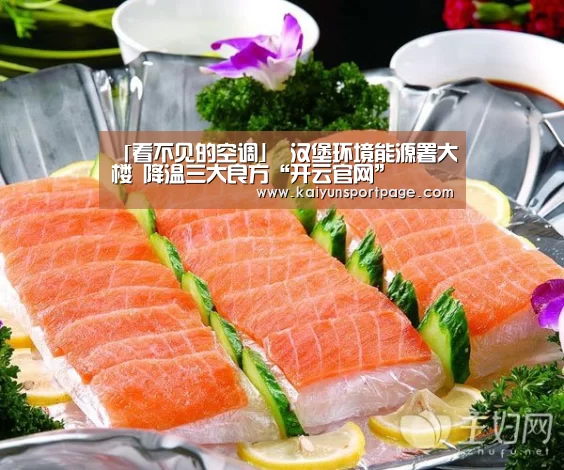 「看不见的空调」 汉堡环境能源署大楼 降温三大良方“开云官网”(图1) 开云导航